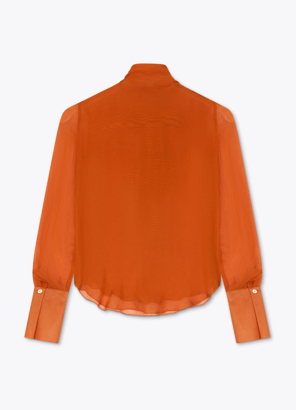 Back view of burnt orange silk bow blouse with sheer long sleeves